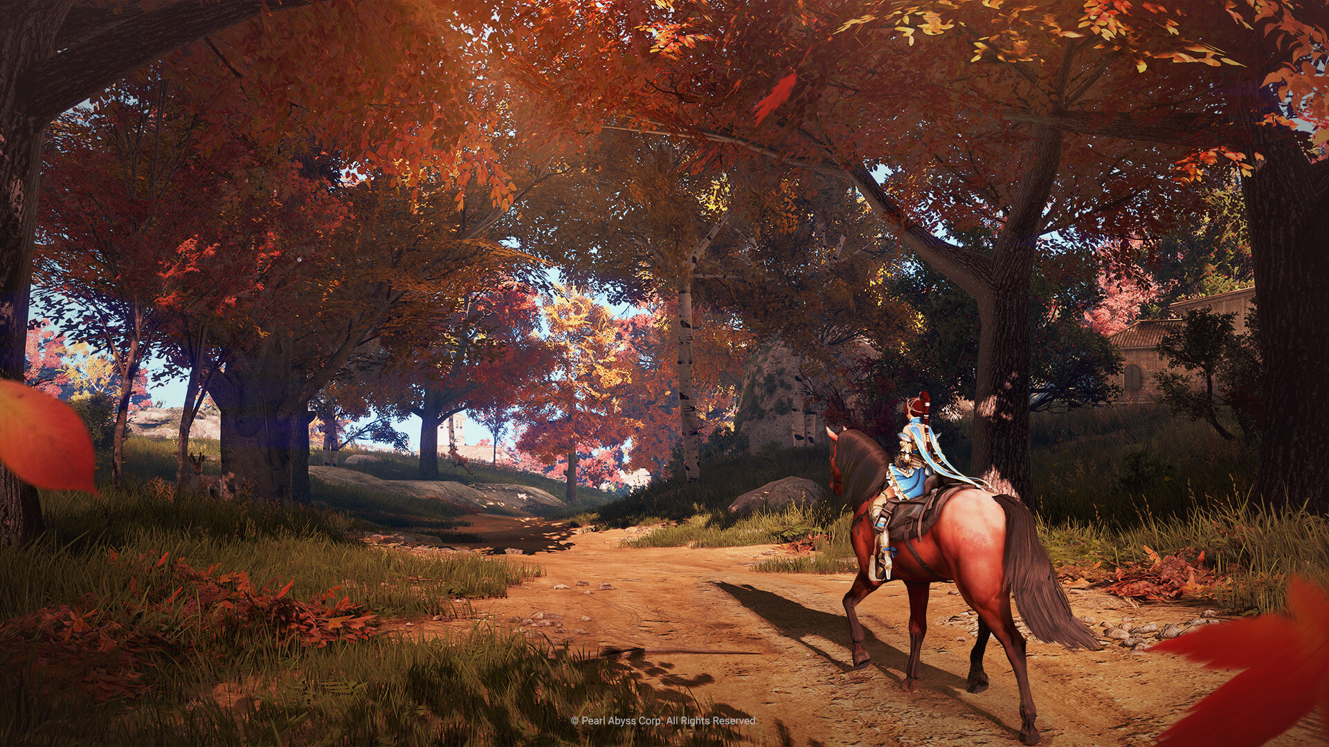 screenshot of Black Desert 8