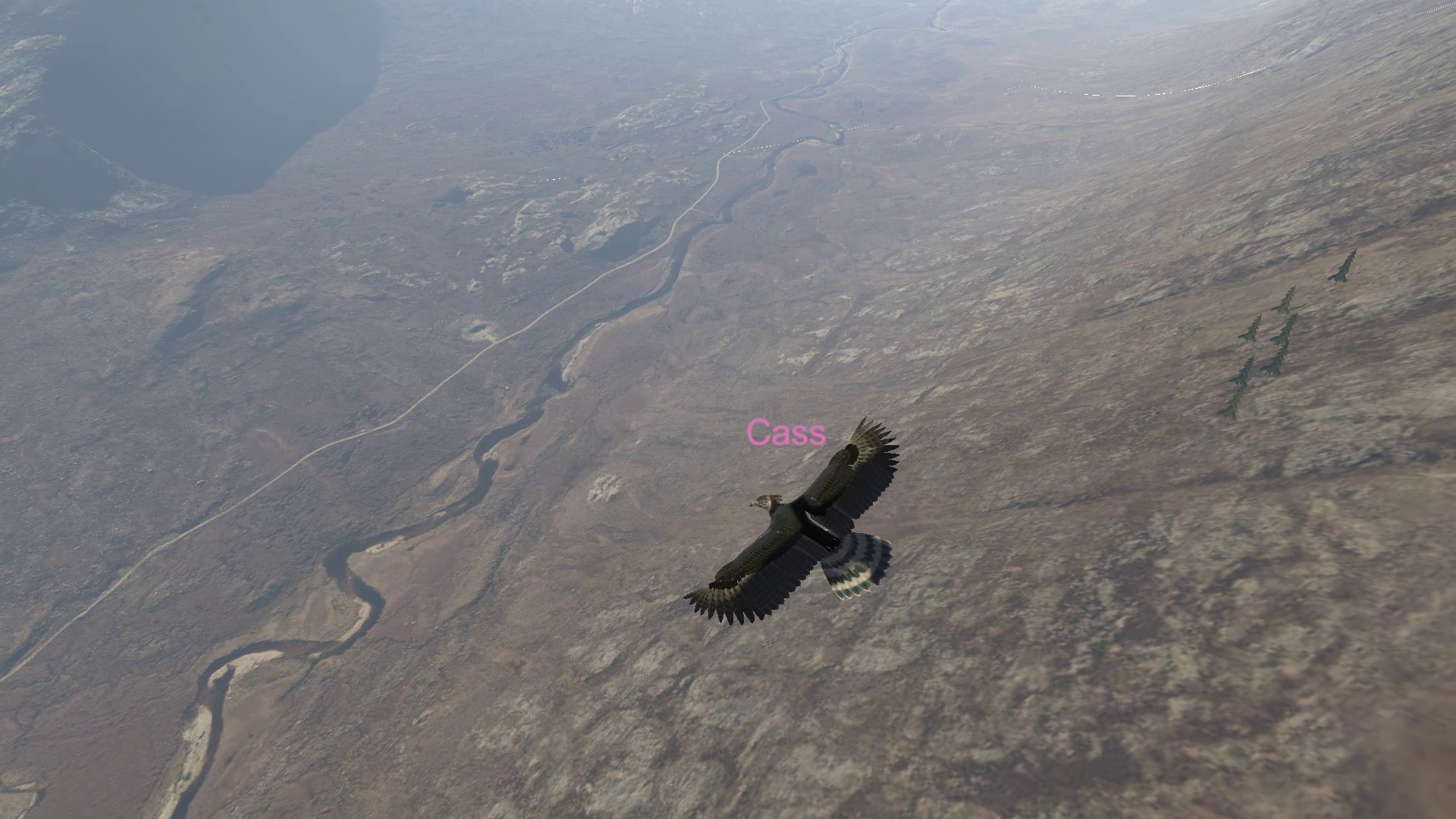 Aquila Bird Flight Simulator screenshot #12