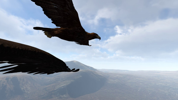 Скриншот Aquila Bird Flight Simulator — 5