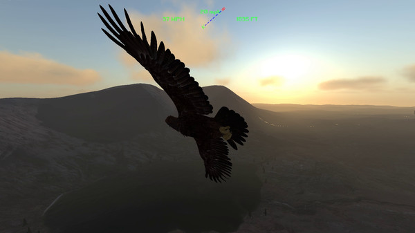 Скриншот Aquila Bird Flight Simulator — 3