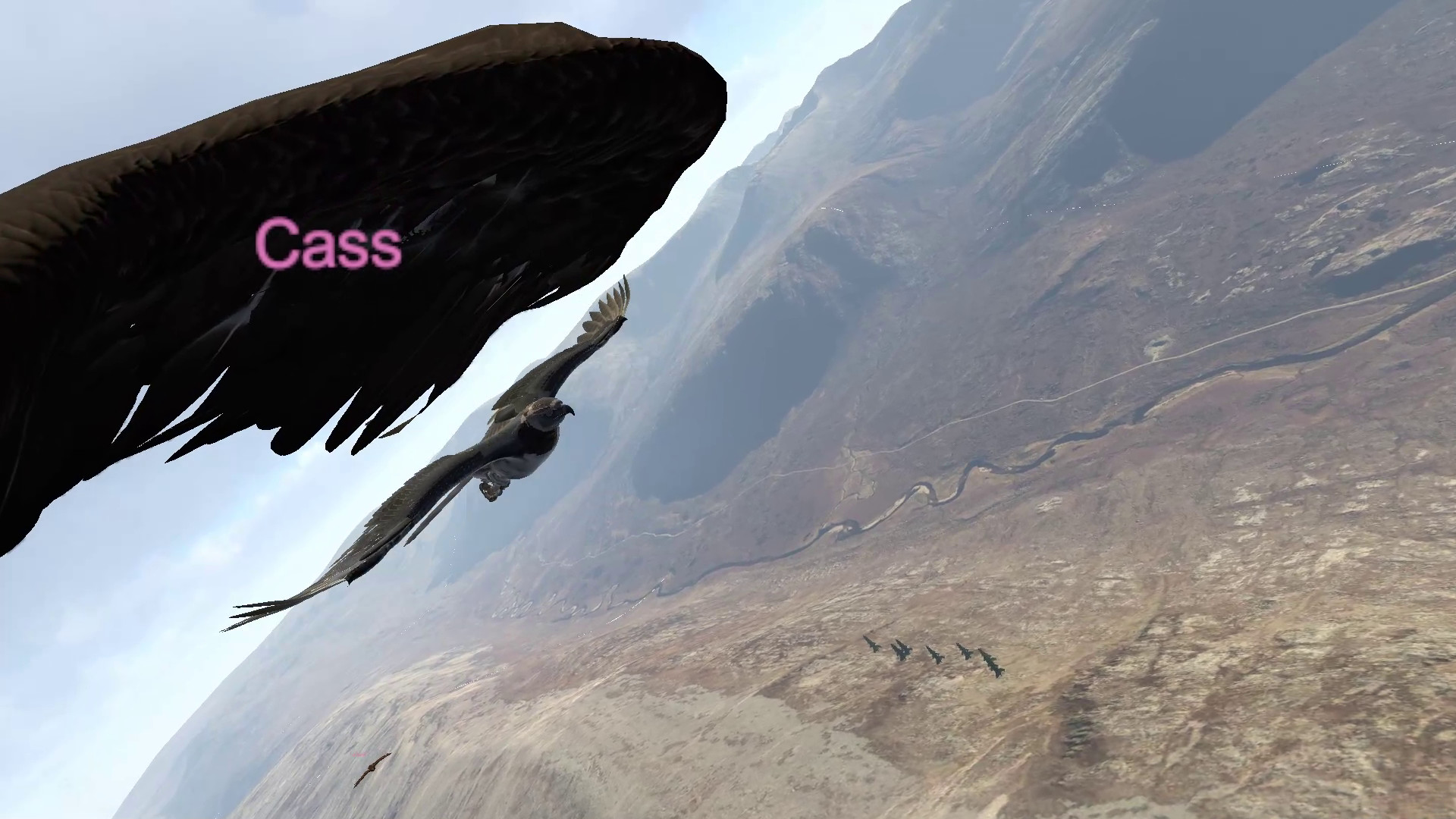 Aquila Bird Flight Simulator screenshot #11