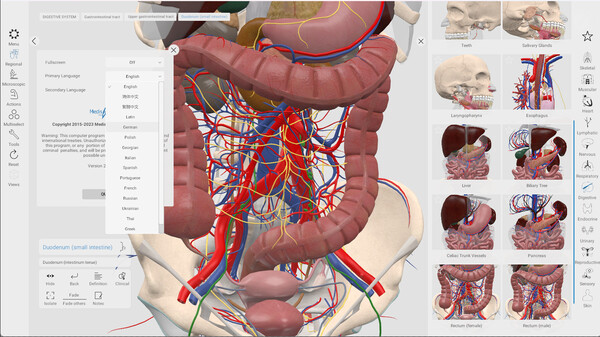 Everyday Anatomy