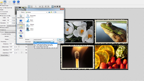 PhotoZoom Classic 6 screenshot 3