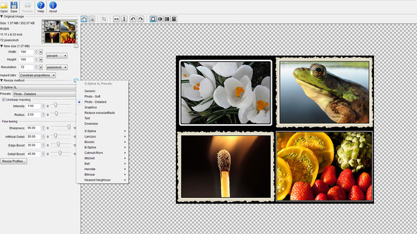 PhotoZoom Classic 6 screenshot 4