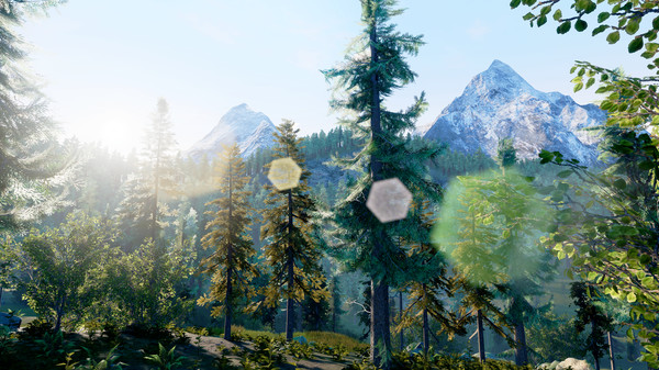 screenshot8