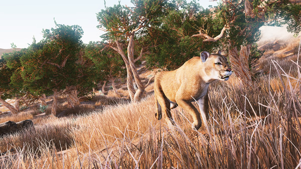 screenshot10