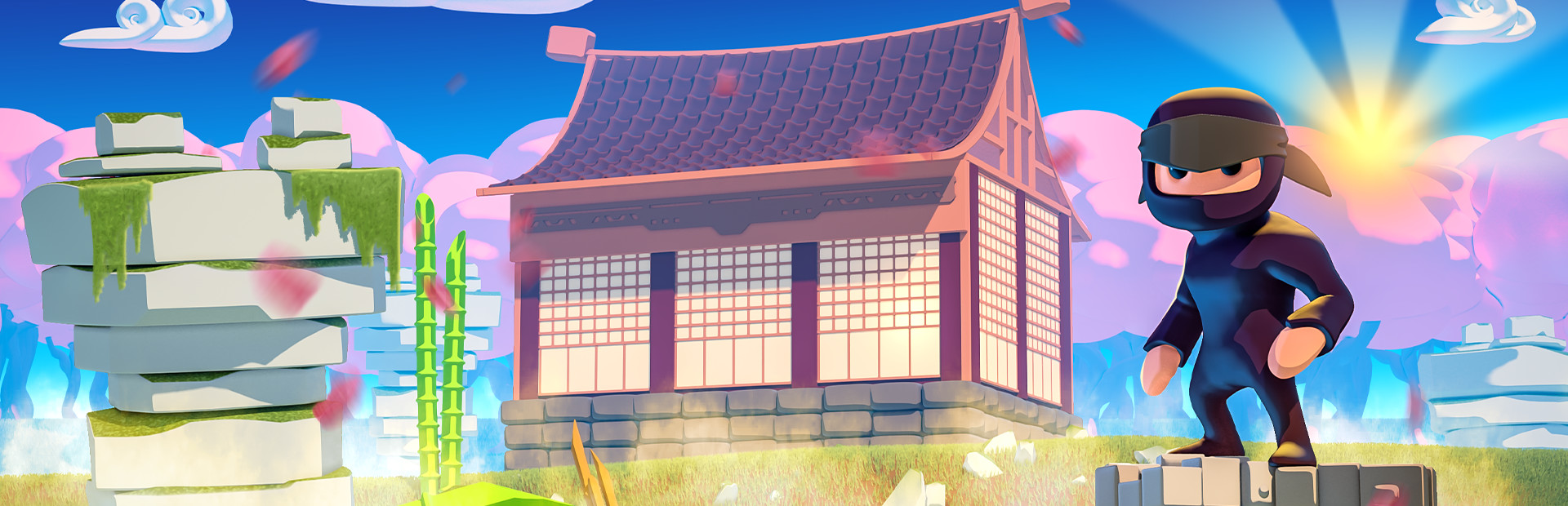Mad Dojo