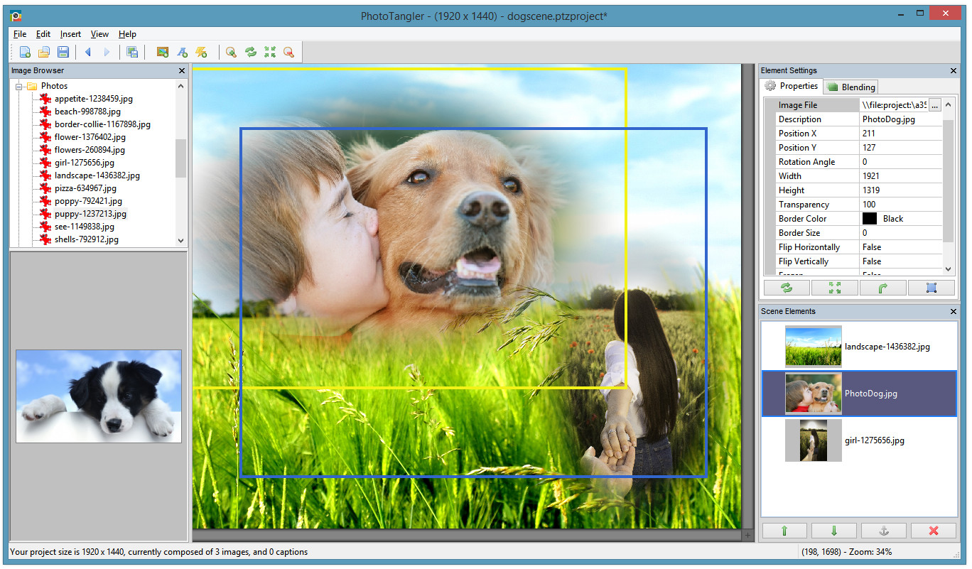 PhotoTangler Collage Maker screenshot 1