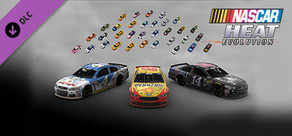 Pit Pass 5