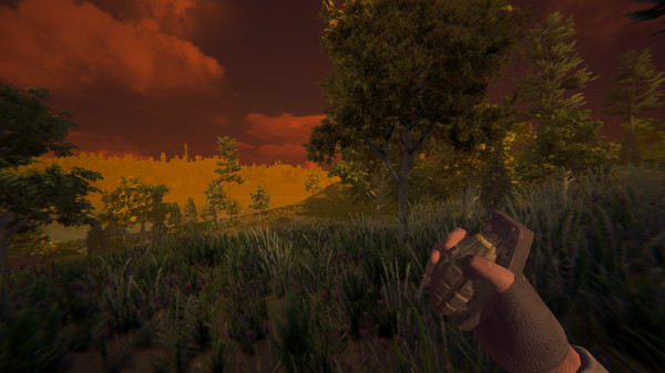 Screenshot z ESCAPE FROM VOYNA: Dead Forest