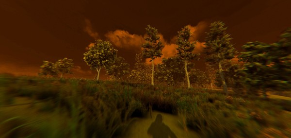 ESCAPE FROM VOYNA: Dead Forest screenshot 5