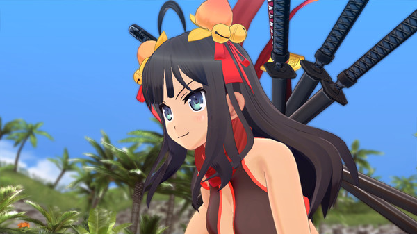 SENRAN KAGURA ESTIVAL VERSUS - Shinobi Pack