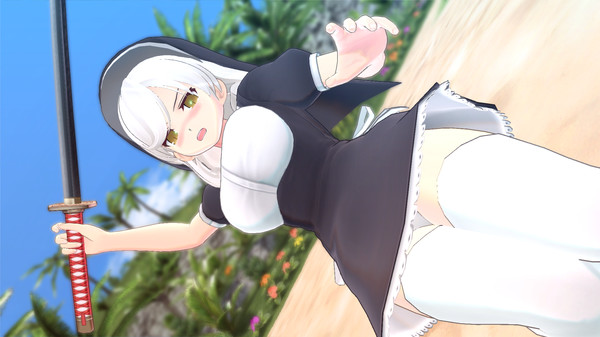 SENRAN KAGURA ESTIVAL VERSUS - Surprise Pack