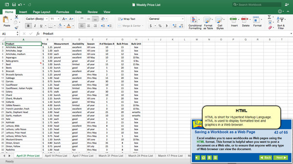 Professor Teaches® Excel 2016 – Mac screenshot 5
