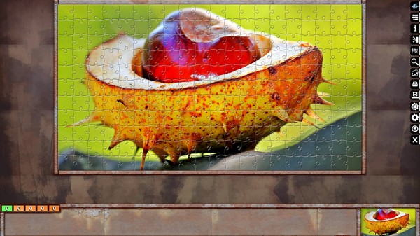 Jigsaw Puzzle Pack - Pixel Puzzles Ultimate: Macro
