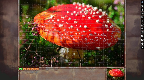 Jigsaw Puzzle Pack - Pixel Puzzles Ultimate: Macro
