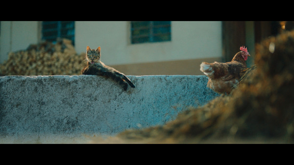 Jonathan screenshot 3