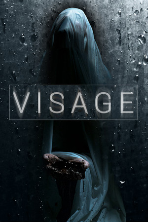 Cover art of Visage