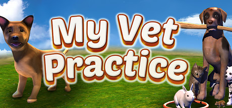 My Vet Practice steam charts