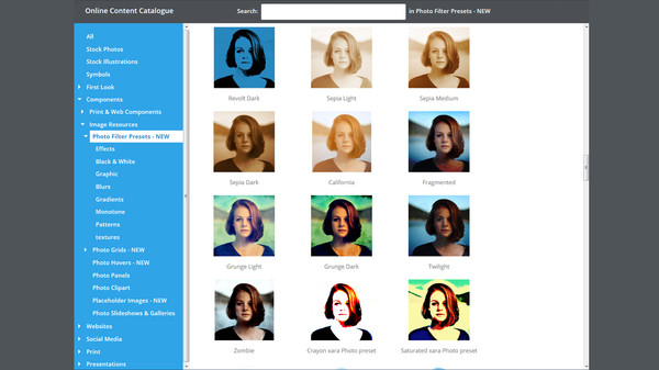 Photo & Graphic Designer 12 Steam Edition screenshot 3