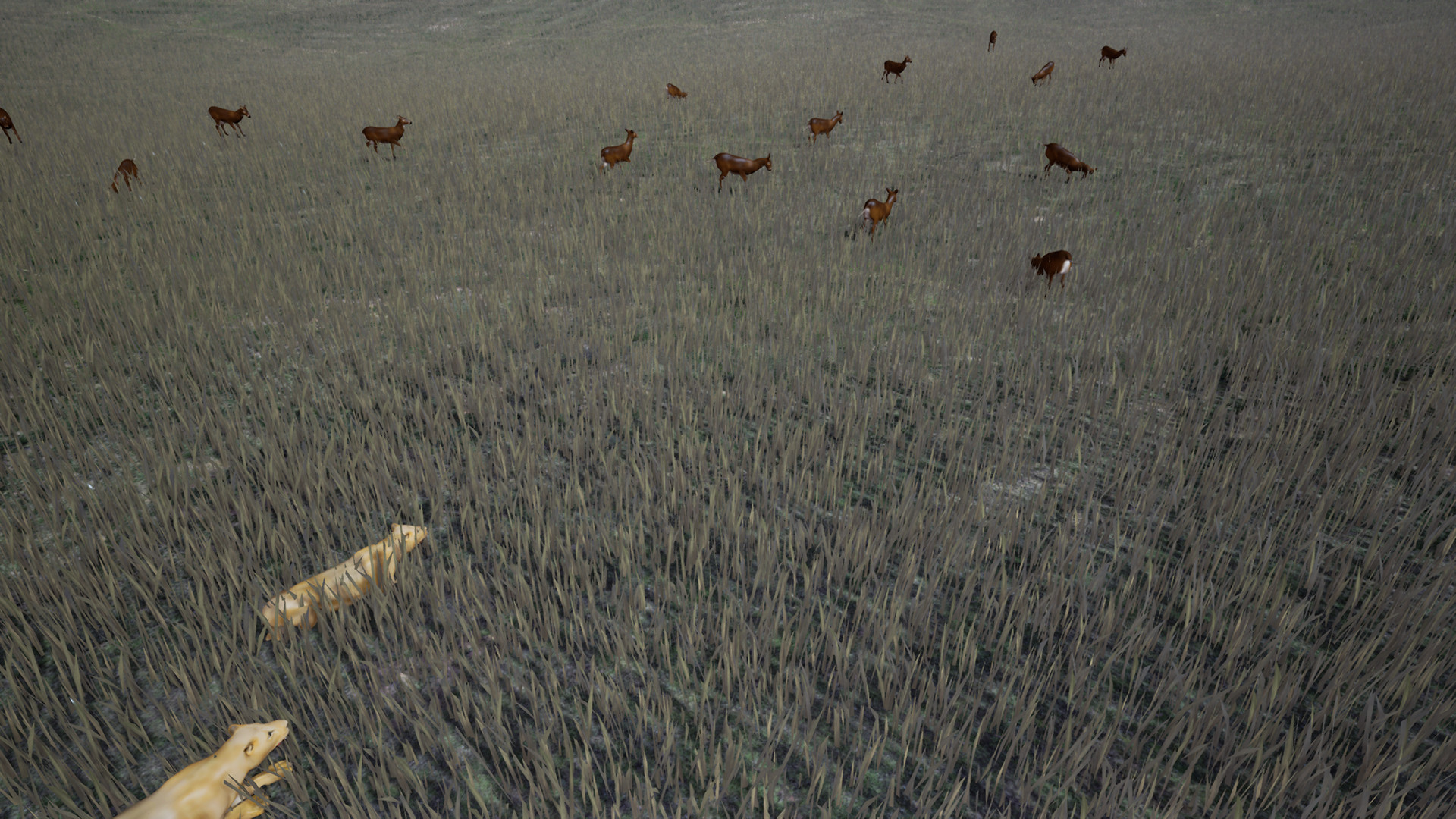 Survivalizm - The Animal Simulator screenshot 3