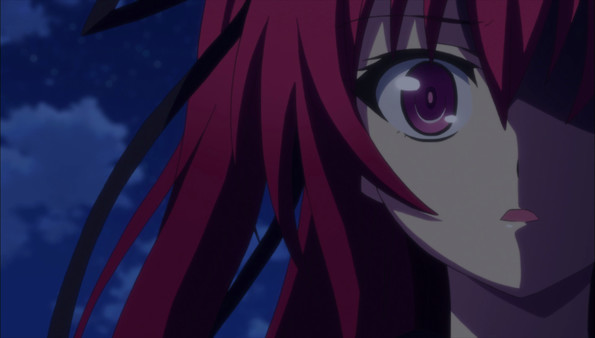 The Testament of Sister New Devil