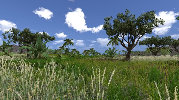 Screenshot z Lost in Nature