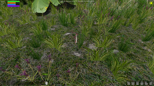 Screenshot z Lost in Nature