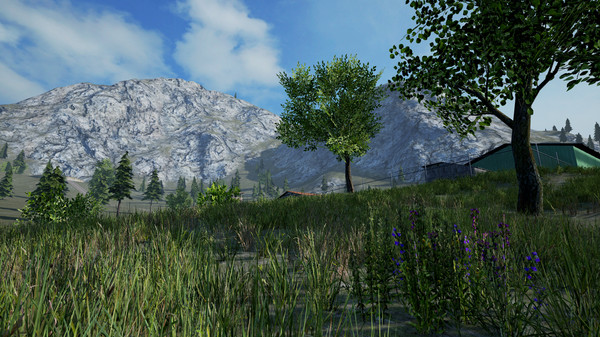 Military Airfield - Donation DLC