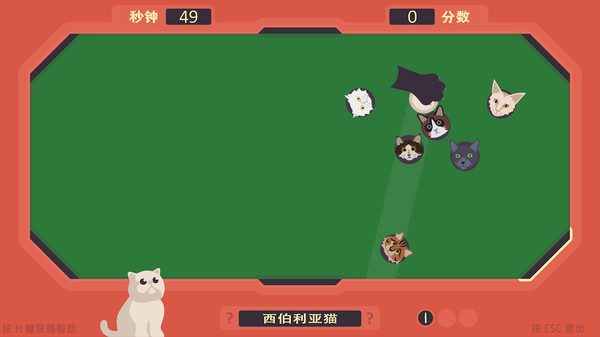 猫猫游戏-游戏截图