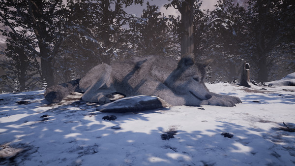 Nephise Screenshot