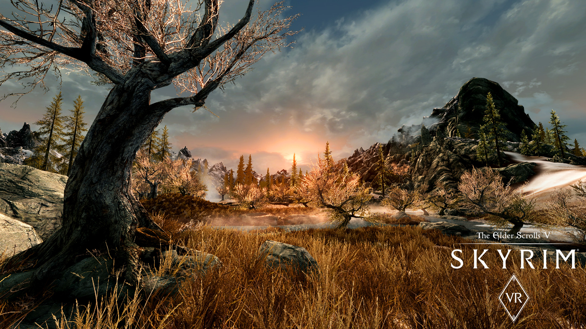 The Elder Scrolls V: Skyrim VR