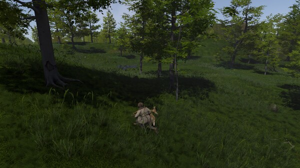 SAELIG Screenshot
