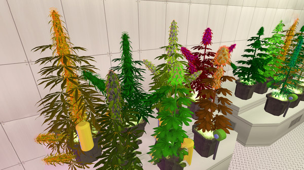 Weed Shop 2 screenshot 2