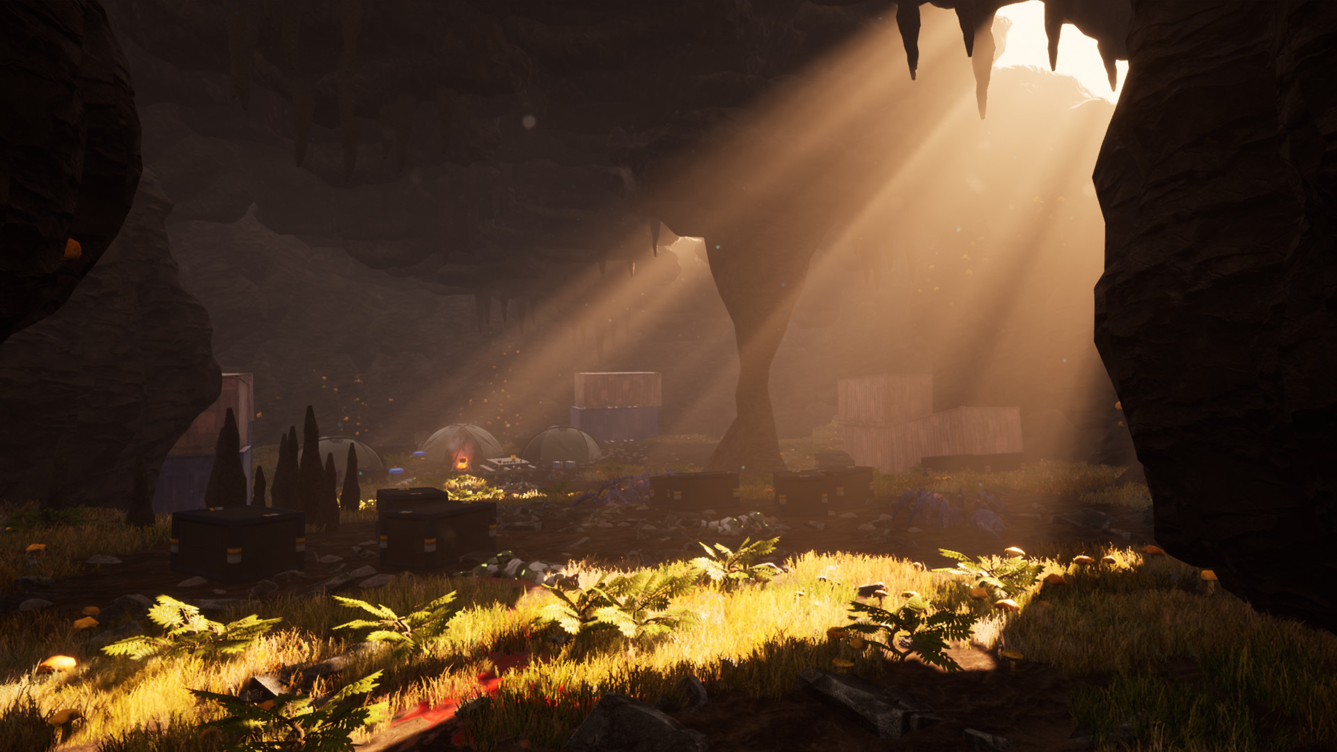 Within the Cosmos screenshot #5