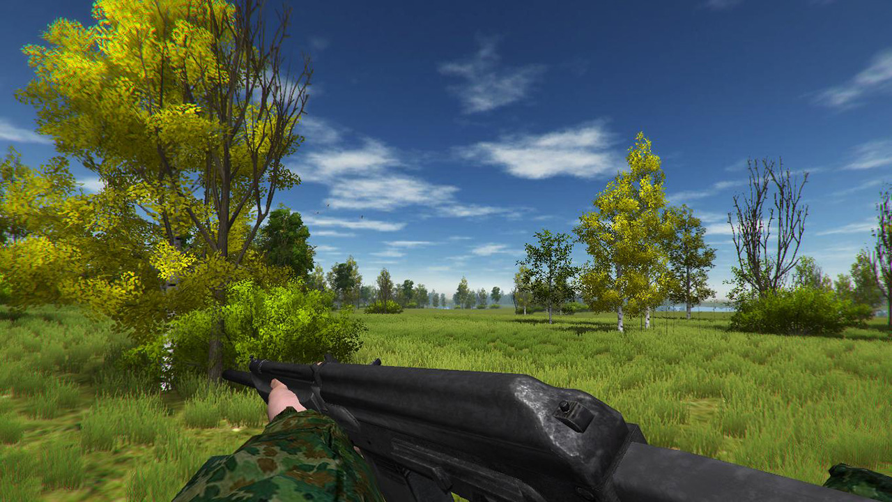 Duck Hunting screenshot #2