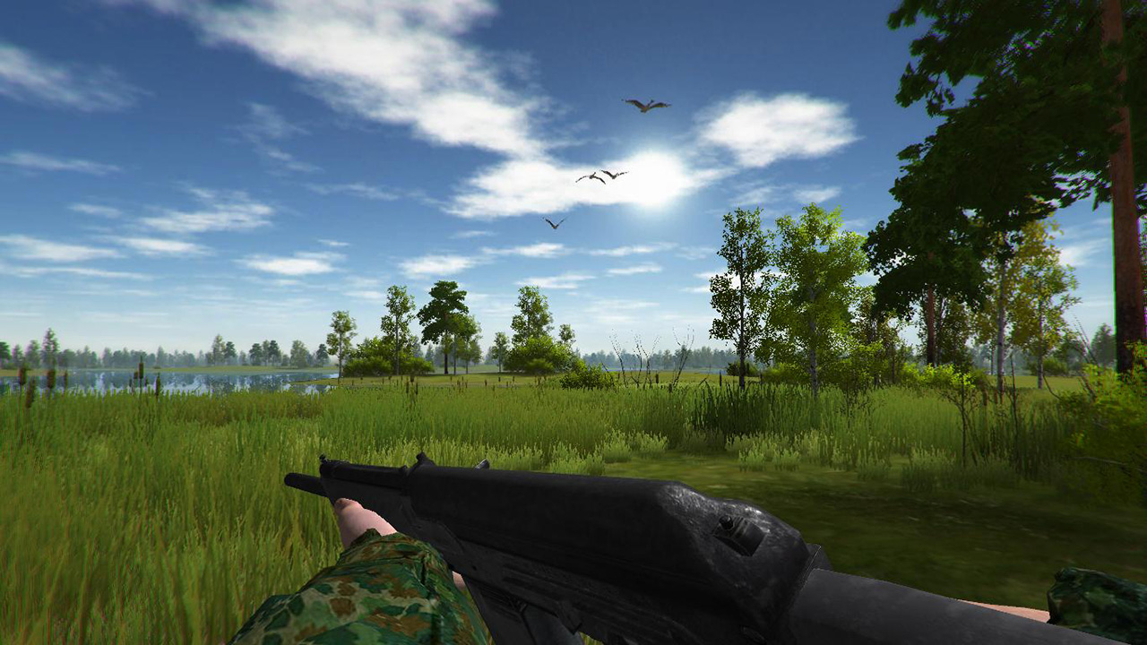 Duck Hunting screenshot #5