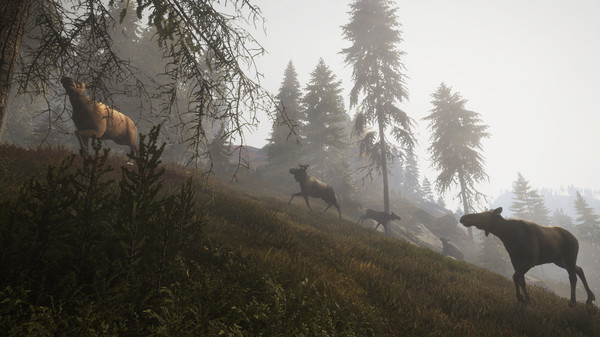 theHunter: Call of the Wild™ - Facing the Wild 1