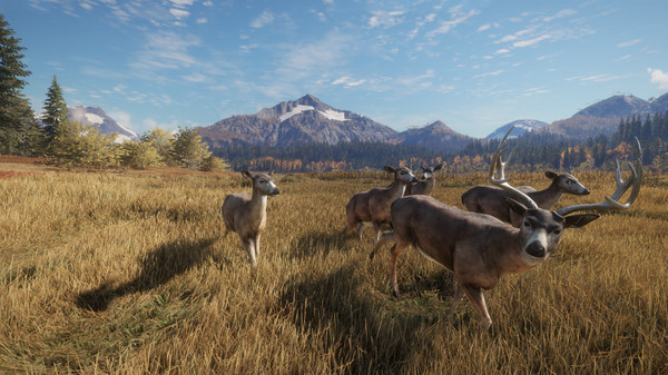 theHunter: Call of the Wild™ - Facing the Wild 1
