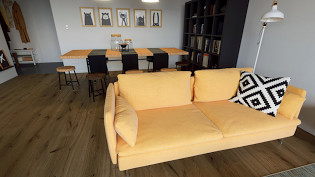 Screenshot z theViewer