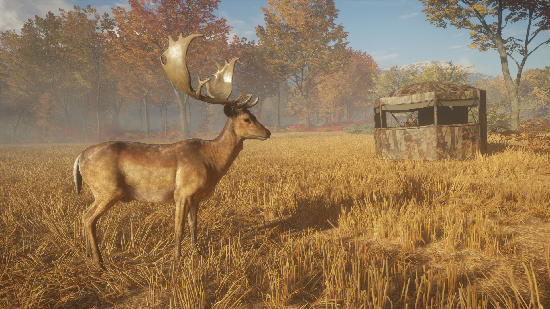 theHunter: Call of the Wild™ - Tents & Ground Blinds Featured Screenshot #1