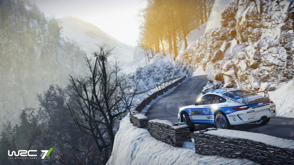 DLC - WRC 7 Porsche Car