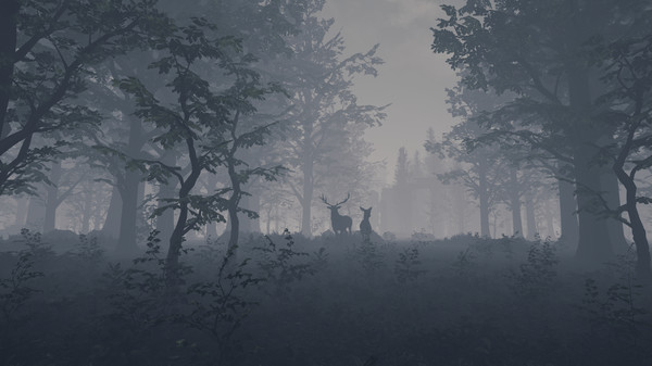 Screenshot z THORNYWAY - The Game