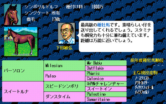 Winning Post Screenshot