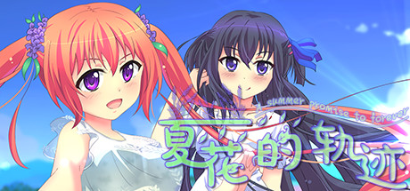 夏花的軌跡——A summer promise to forever