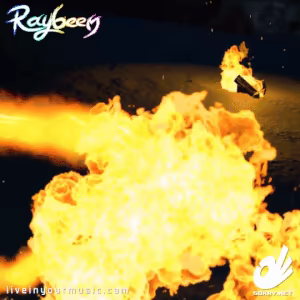 RAYBEEM - Live in Your Music video 2