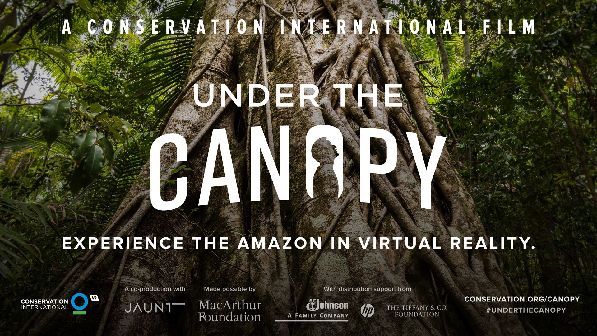 Under the Canopy Featured Screenshot #1