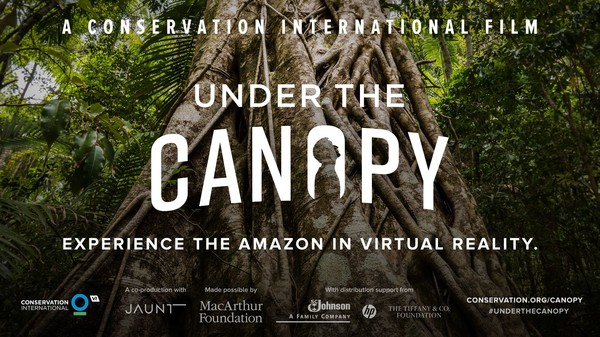 Under the Canopy screenshot 1