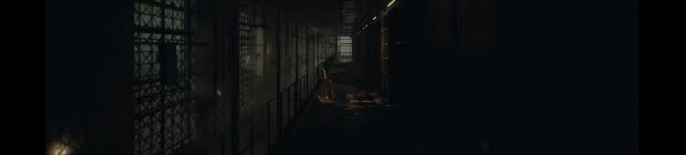 Inmates video 3