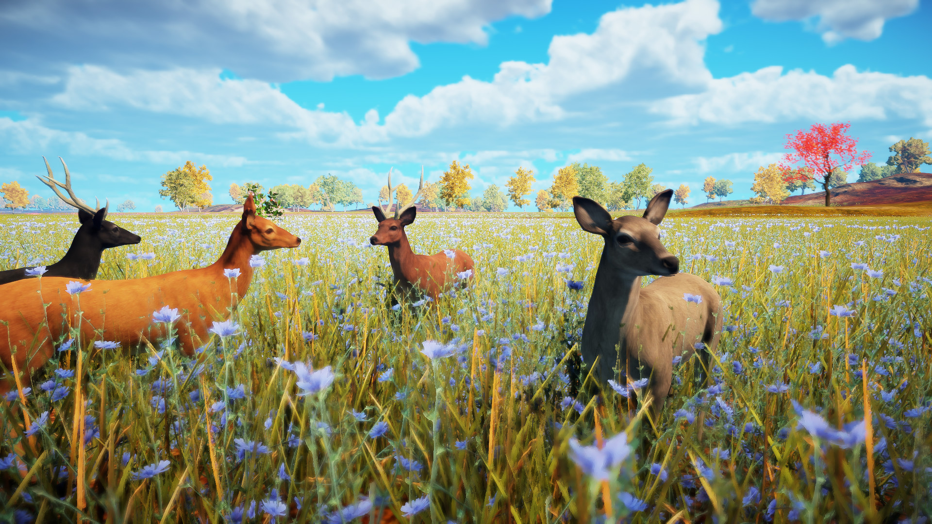 Animallica screenshot #11